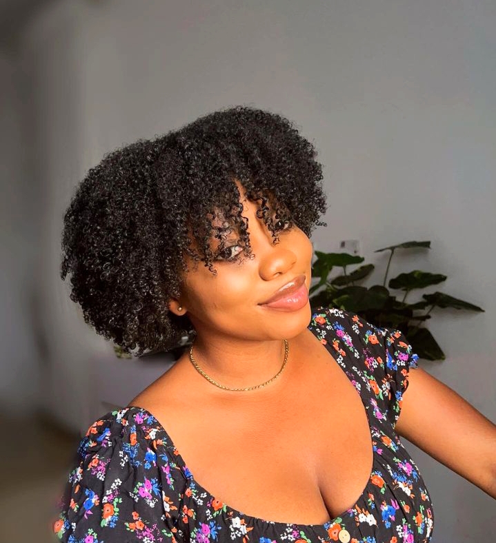 Natural hair wash and go hairsstye